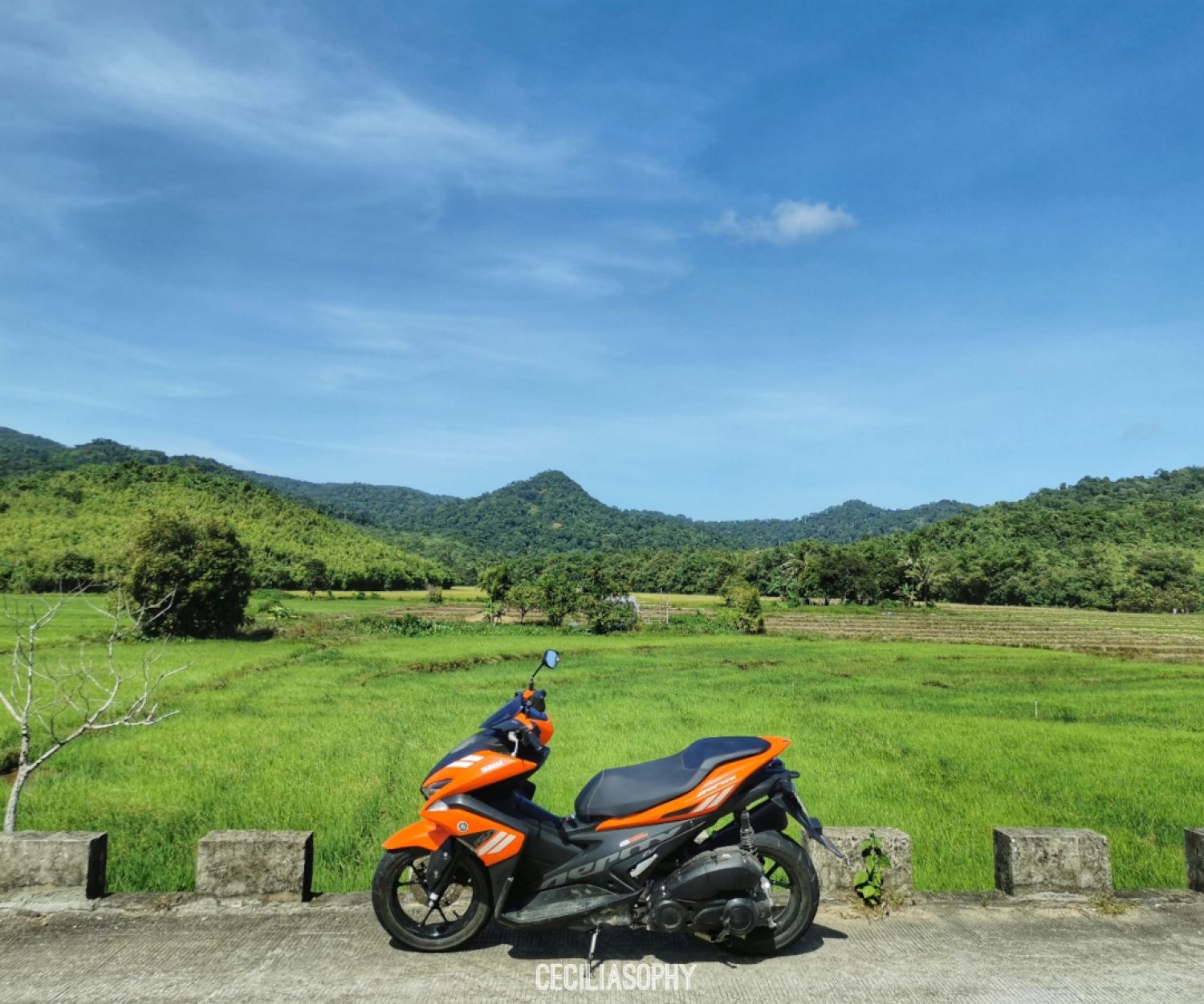 Day tour Itinerary